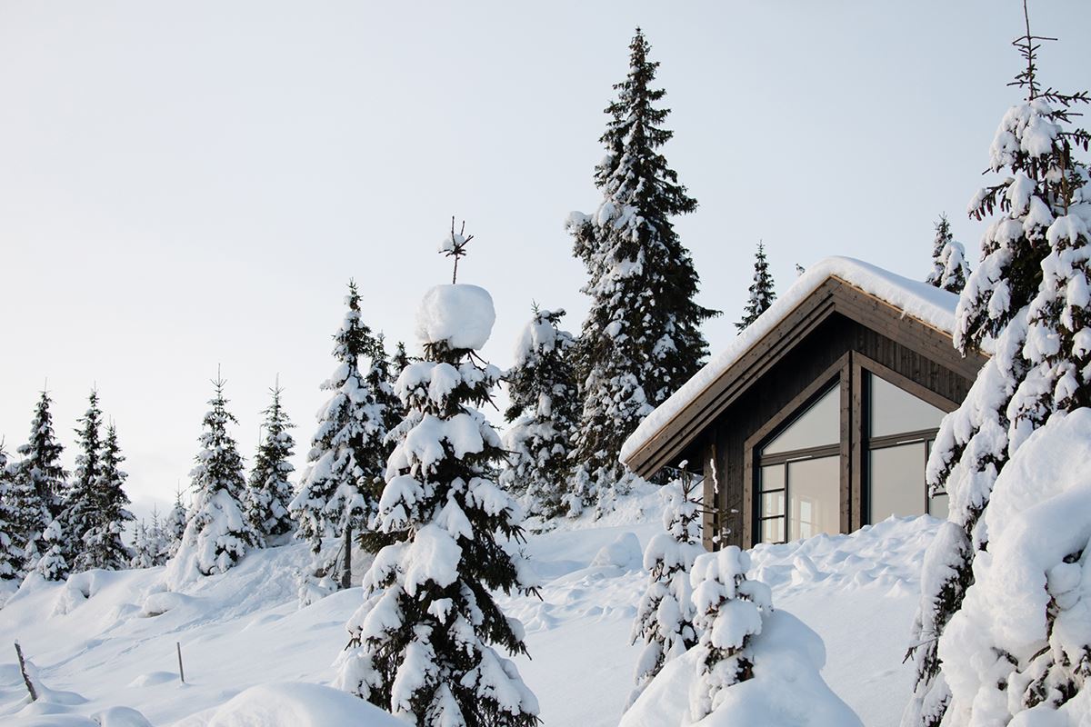 Et snødekt landskap hvor en hytte skimtes mellom en rad med trær