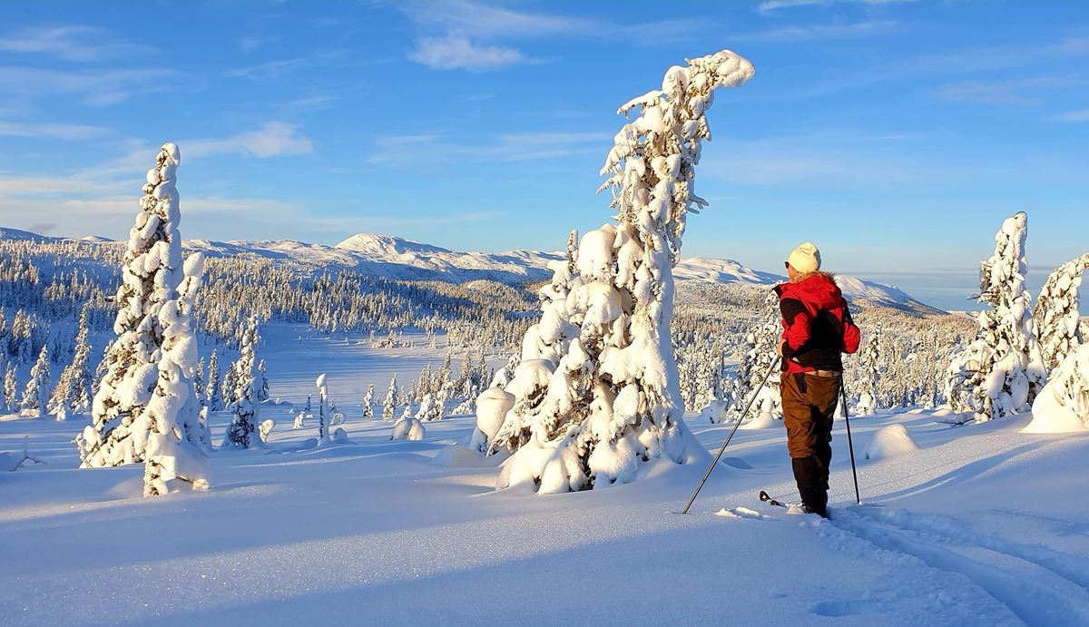 En enslig skiløper med rød jakke står med ryggen til og kikker ut over et snødekt fjellområde